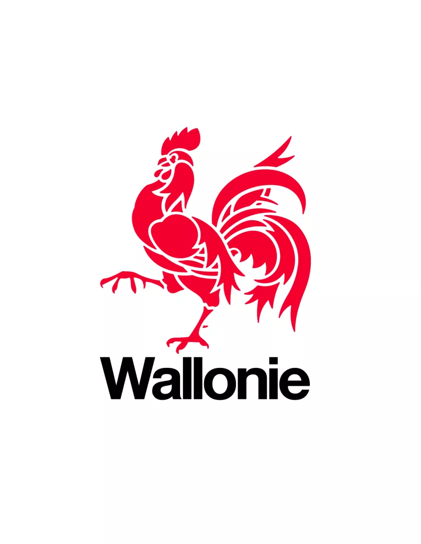 wallonie_v.jpg